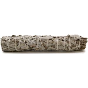 Smudge Stick - Witte Salie 22,5 cm