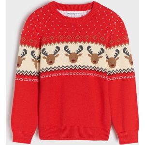 Kersttrui / foute kersttrui voor kinderen | Rendieren | Maat 110
