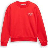 Tom Tailor Denim Sweatshirt met glitterborduursel