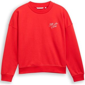 Tom Tailor Denim Sweatshirt met glitterborduursel