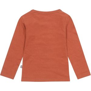 Dirkje Meisjes Longsleeve Tshirt Heart Arabian Spice - 56