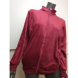 Dames huispak Fiona-effen bordeaux rood-velours-loungewear-Maat 38-joggingpak-vrijetijdspak