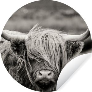 WallCircle - Behangcirkel - Dieren - Schotse hooglander - Koe - Zwart - Wit - Zelfklevend behang - 100x100 cm - Behang zelfklevend - Behangcirkel dieren