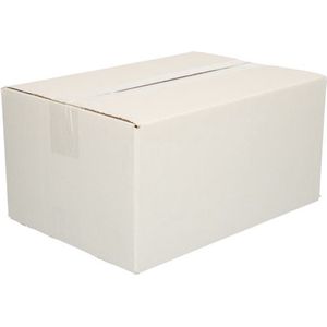 25x Vouwdoos A4 305 x 220 x 100 mm - B- golf (± 3,0 mm) Karton - Universele verzenddozen