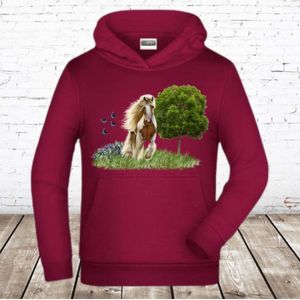 Bordeaux rode hoodie met paard -James & Nicholson-110/116-Hoodie meisjes