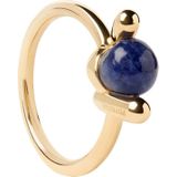 P D Paola - Twist - AN01 - D21 - Dames - Ring - 52