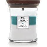 WoodWick Trilogy - Icy Woodland Medium Jar