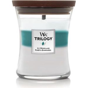 WoodWick Trilogy - Icy Woodland Medium Jar