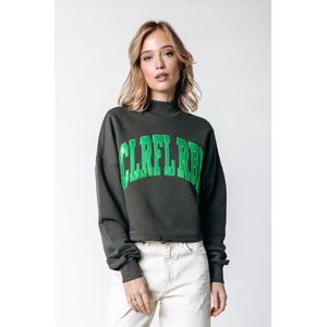 Colourful Rebel - Logo Patch - Sweat - 100% Biologisch Katoen - Regular Fit