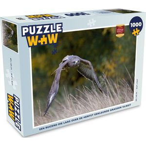 Puzzel Een buizerd die laag over de herfst gekleurde grassen vliegt - Legpuzzel - Puzzel 1000 stukjes volwassenen