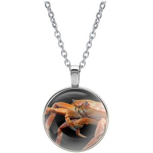 Ketting Glas | Close-up | Krab