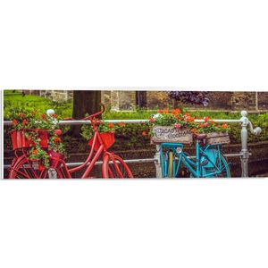 WallClassics - PVC Schuimplaat- Rode en blauwe Fiets met Bloemen bij wit Hek voor de Gracht - 60x20 cm Foto op PVC Schuimplaat