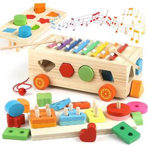Regenboog Xylofoon 6in1 - Montessori Speelgoed - Houten Speelgoed - Motoriekspeelgoed - Bouwblokken - Vormsorteerders - 2 tot 5 Jaar - Speelgoedinstrument