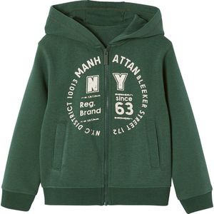 BASICS - Ritssweater met Capuchon - Dennen - Jongenssweater