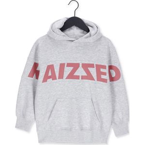 RAIZZED Newark Truien & Vesten Meisjes - Sweater - Hoodie - Vest- Grijs - Maat 110