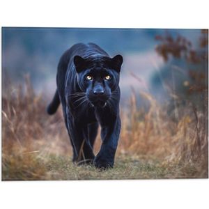 Vlag - Panter -Zwart - Dier - Wid - 40x30 cm Foto op Polyester Vlag