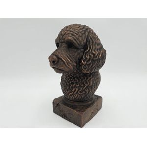 Labradoodle Hond Buste - Schattig en Zacht - Perfect Geschenk