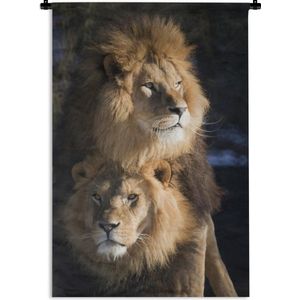 Wandkleed Leeuw - nieuw - Twee leeuwen Wandkleed katoen 120x180 cm - Wandtapijt met foto XXL / Groot formaat!
