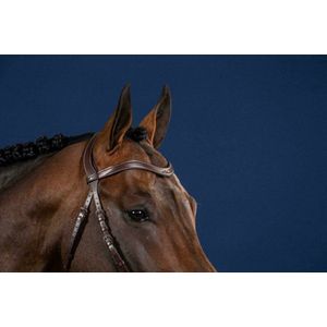 Dy'on Flat Leather V-Shaped Browband Hunter Full Black