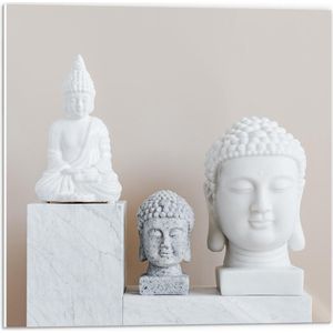 Forex - Verschillende Witte Boeddha Beelden - 50x50cm Foto op Forex