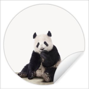 Behangsticker kids - Woondecoratie - Panda - Dieren - Kinderen - Jongens - Meisjes - Pandabeer - 140x140 cm - Kinderkamer decoratie - Muurdecoratie jongenskamer