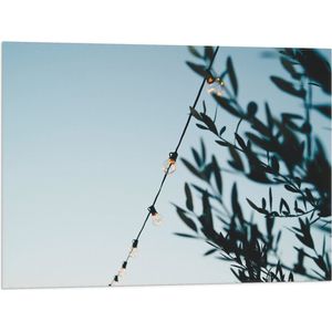 WallClassics - Vlag - Lampslinger bij Groene Takken - 80x60 cm Foto op Polyester Vlag