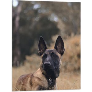 Vlag - Opkijkende Politie Hond in het Hoge Droge Gras - 60x80 cm Foto op Polyester Vlag