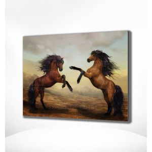 Painting Expert® Schilderen op nummer Volwassenen - Schilderen op nummer Kinderen - Twee Paarden - 40x50cm - Exclusief Lijst (24 kleurtjes)