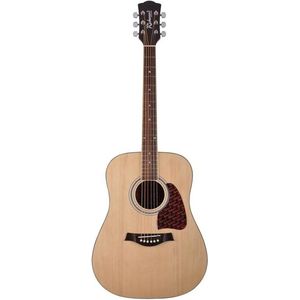 Akoestische gitaar Richwood Artist Series Dreadnought RD-16