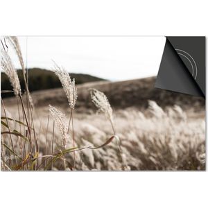 Inductie beschermer 71x52 - afdekplaat inductie mat - Dietrix Kookplaat beschermer - Base - Herfst - Herfst riet