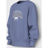 NAME IT - NKFVENUS LS NREG SWEAT - Bruin - Meisjes - Sweatshirt