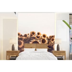 Zonnebloemen - Veld - Zonsondergang - Bloemen - Geel - Behangpapier