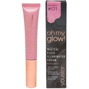 Youstar Oh My Glow Highlight Blush 01