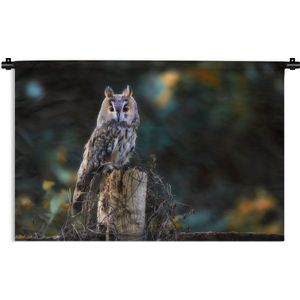 Wandkleed - Wanddoek - Uil - Herfst - Vogel - Takken - 60x40 cm - Wandtapijt