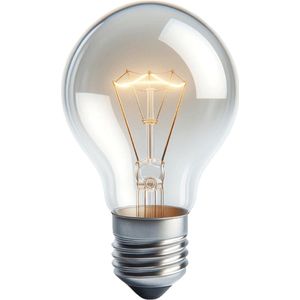 Trixline - Hittebestendige Gloeilamp - 40W - E27 - Warm Wit - Dimbaar