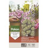 Pokon Voedingskegels voor Terras- & Balkonplanten - 10 stuks - 180 dagen voeding - Plantenvoeding