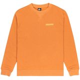 Quiksilver - Salt Water Graphic - Sweatshirt - Oranje - Comfort Fit