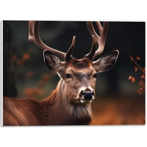 PVC Schuimplaat- Close-up van Opkijkend Rendier met Gewei in Herfst Bos - 40x30 cm Foto op PVC Schuimplaat