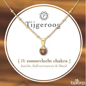 Bixorp Tijgeroog Chakra Ketting met 18k Verguld Goud - Spirituele Hanger - Roestvrij Staal - 36cm + 8cm verstelbaar