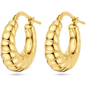 Zilver Verguld (Geel) Oorringen 1 Micron 2103582