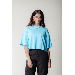 Colourful Rebel Uni Cropped Oversized Tee - M