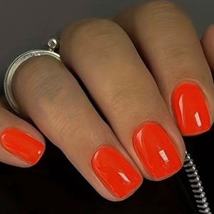 Nepnagels met Lijm - Nepnagels Oranje - Nep Nagels Oranje - Gekleurd - Kort - Plaknagels - Oranje - High Gloss - Square - Press on Nails - Nagellijm - Koningsdag