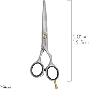 Pre Style gematteerde Relax professionele tondeuseschaar - 6 inch