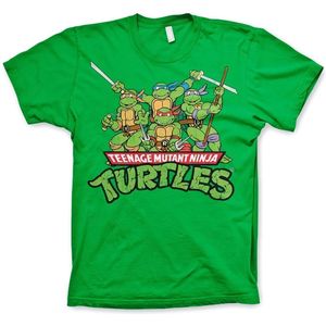 Teenage Mutant Ninja Turtles Turtles Distressed Group T-shirt Green-S