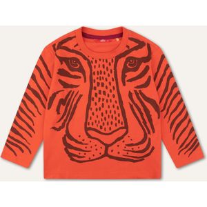 Thommy l.sl. T-shirt 19 Solid with artwork Big tiger Red: 152/12yr