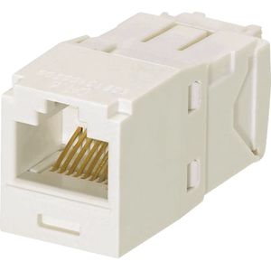 Panduit UTP RJ45 TG-MiniJack Cat6a Off White