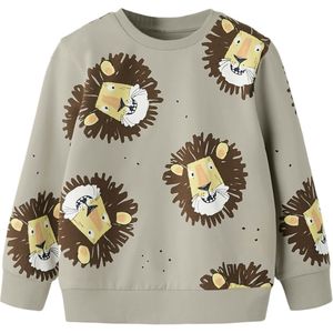 NAME IT - NMMSAKU LS NREG SWE BRU - Jongens - Sweaters - Maat 80