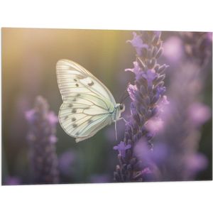 Vlag - Insect - Vlinder - Bloem - Lavendel - 80x60 cm Foto op Polyester Vlag