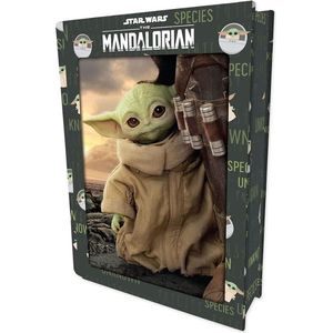 Star Wars: The Mandalorian - Unkown Species Puzzel Boek 300 stk 41x31 cm - met 3D lenticulair effect