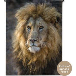 Wandkleed Leeuwen - Leeuwenkoning Wandkleed katoen 150x200 cm - Wandtapijt met foto